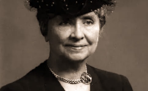 ���׿���Ӣ����������