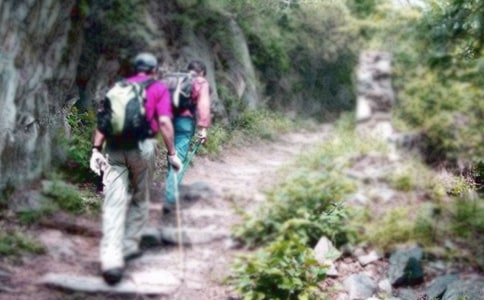 ����ɽ���Ľš�����ʱ��ѧ���